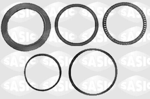 SASIC 1005047 Repair Kit spring bearing frame